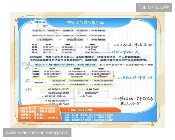 CFO与FNC对比分析:两者在企业财务战略中的角色与影响 CFO与FNC对比分析:两者在企业财务战略中的角色与影响