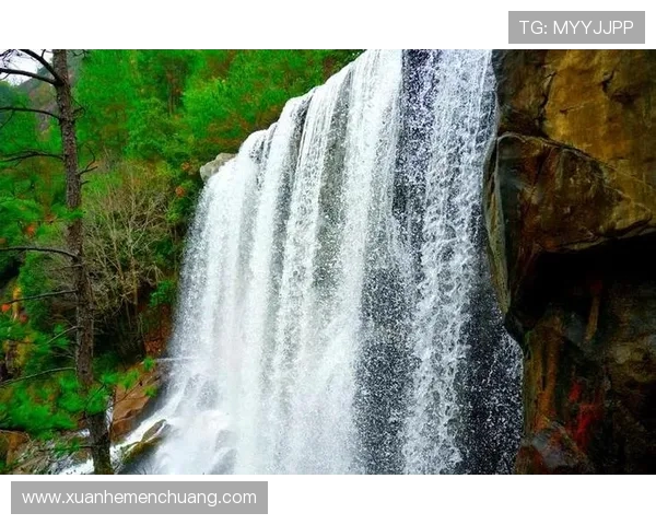 跳水运动的力量与美感探秘从空中跃动到水花消散的极致瞬间 跳水运动的力量与美感探秘从空中跃动到水花消散的极致瞬间