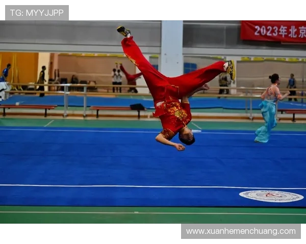 杭州攀岩队在世界滑板锦标赛中的拼搏历程与荣耀时刻