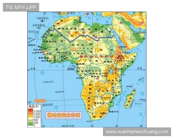 利比亚对阵尼日利亚精彩直播全程回顾与赛后分析